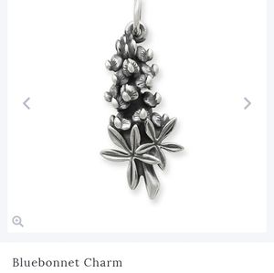 Bluebonnet charm